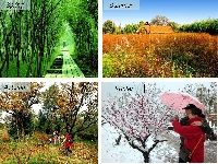 Seasons Swap 