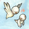Birdie Matchbox