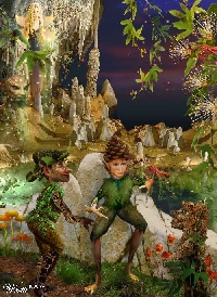 Catching Woodland Fairy Tale Creatures! USA/Canada
