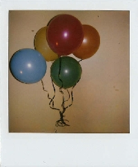 Profile Polaroid Postcard