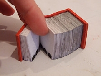 TEENY TINY Handmade BOOK illustration INTL