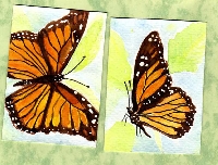 Atcs Watercolour/ Drawing inks(October)