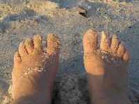My Summer Vacation - digital picture swap