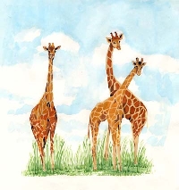 Handmade Art Postcards - Theme Animals 