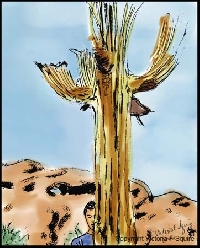 Handmade Art Postcard - Theme Cactus