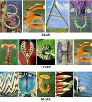 ABC Photo Hunt letters A thru M