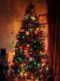ANYTHING You Want to Create CHRISTMAS!