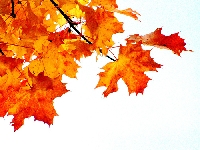 Autumn/Fall matchbox swap 