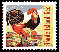 Three postcards in an envelope-3 partners