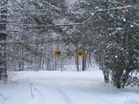 Favorite Michigan Holiday Memory