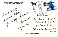 Funny Postcards
