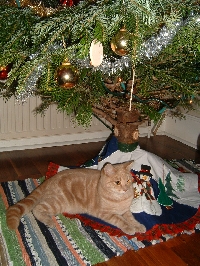 Christmas Stocking Swap for British Birds