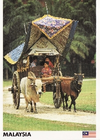 Year of the Ox Postcards , Newbies & International
