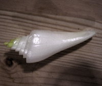 HPC: Tasty Vegetables
