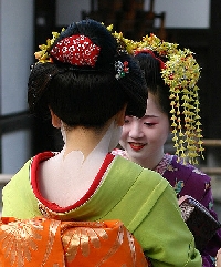 Geisha/Haiku Postcard (International)