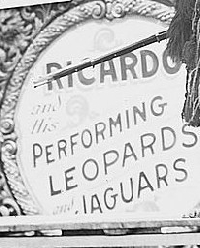 Wild Animal Tamer Circus ATC