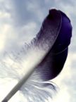 Feather ATC