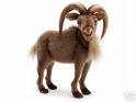 Swap a goat