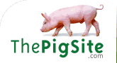 Glucksschwein: Good Luck Pig