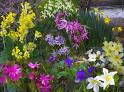Let's pick 3 flat FLOWERS!!!!