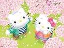 HELLO KITTY SWAP