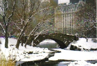 Winter Scene Postcards