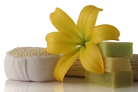 Vegan/Natural Swap!!!