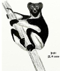 Animal Alphabet ATC - I (i)