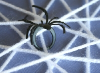Private Swap between Redsockz&Spiderlady