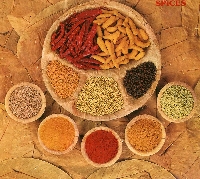 Spice of Life #3 