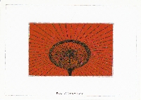 Excess Postcards