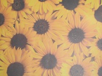 Sunflower ATC