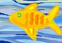 fish, fish, fish!