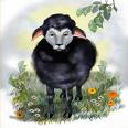 Black Sheep