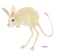 Animal Alphabet ATC - J