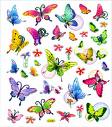 Butterfly ATC - International