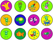 Senders Choice Card and stickers