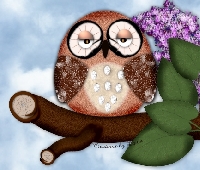 Owl ATC