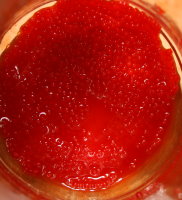 Roy G. Biv Close-up Photo ATC's (RED)
