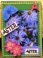 GARDEN FLOWERS ALPHABET ATCs