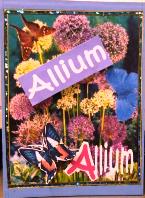 WILD FLOWERS ALPHABET ATCs