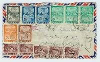 Stamp Crazy Fun