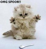 MEEEEEOW Kitty Cat ATC Swap 