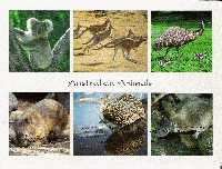 International Unwritten Postcards #1