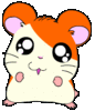 CUTE ANIMALS THEMED WHIMSEY JAR
