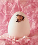 Easter Surprise