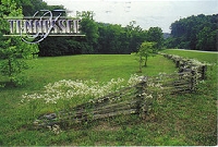 ~*~Postcards#5~*~