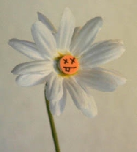 Weird & Silly Springtime Super Swap
