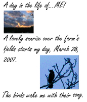 Digital Day in the Life of...Photo Journal
