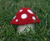 Private Mushroom Bookmark Swap